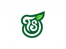 Green Ts Leaf Logo